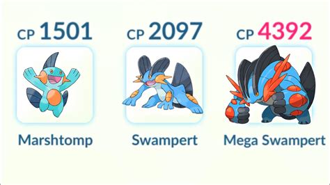 swampert mega|swampert evolution chart.
